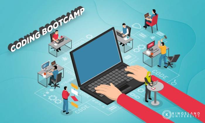 Coding Bootcamps