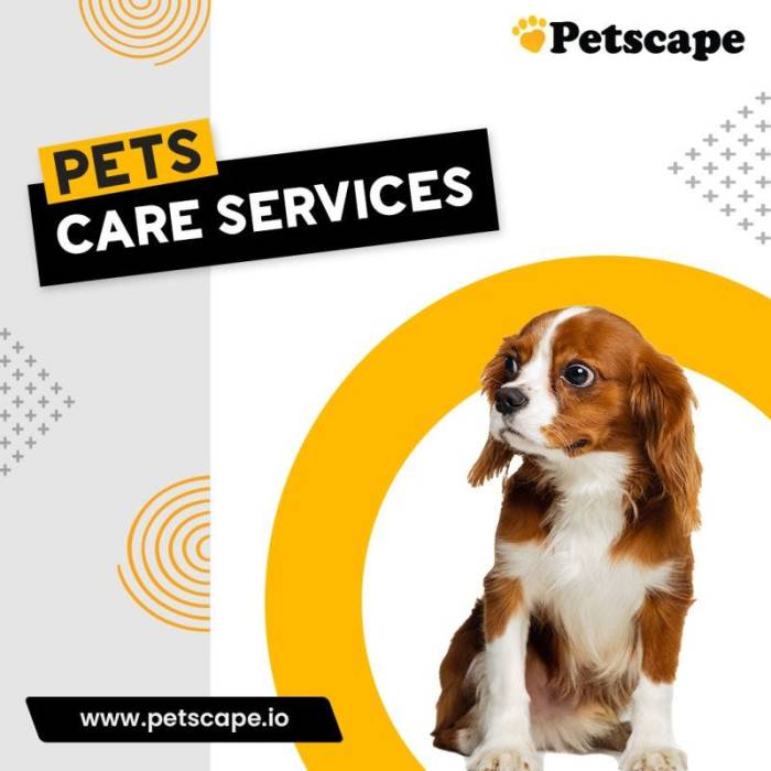 Pet Care Services