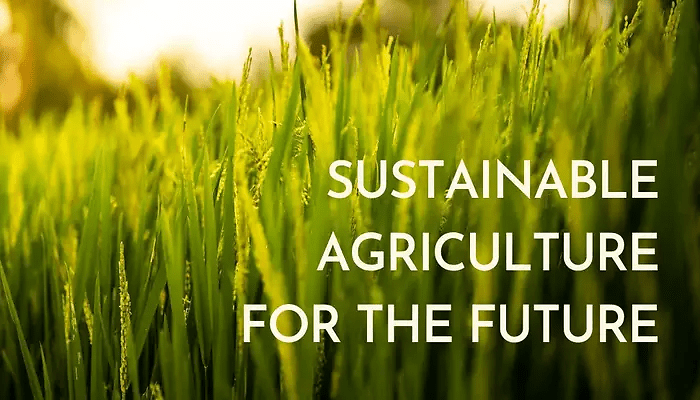 Sustainable Farming