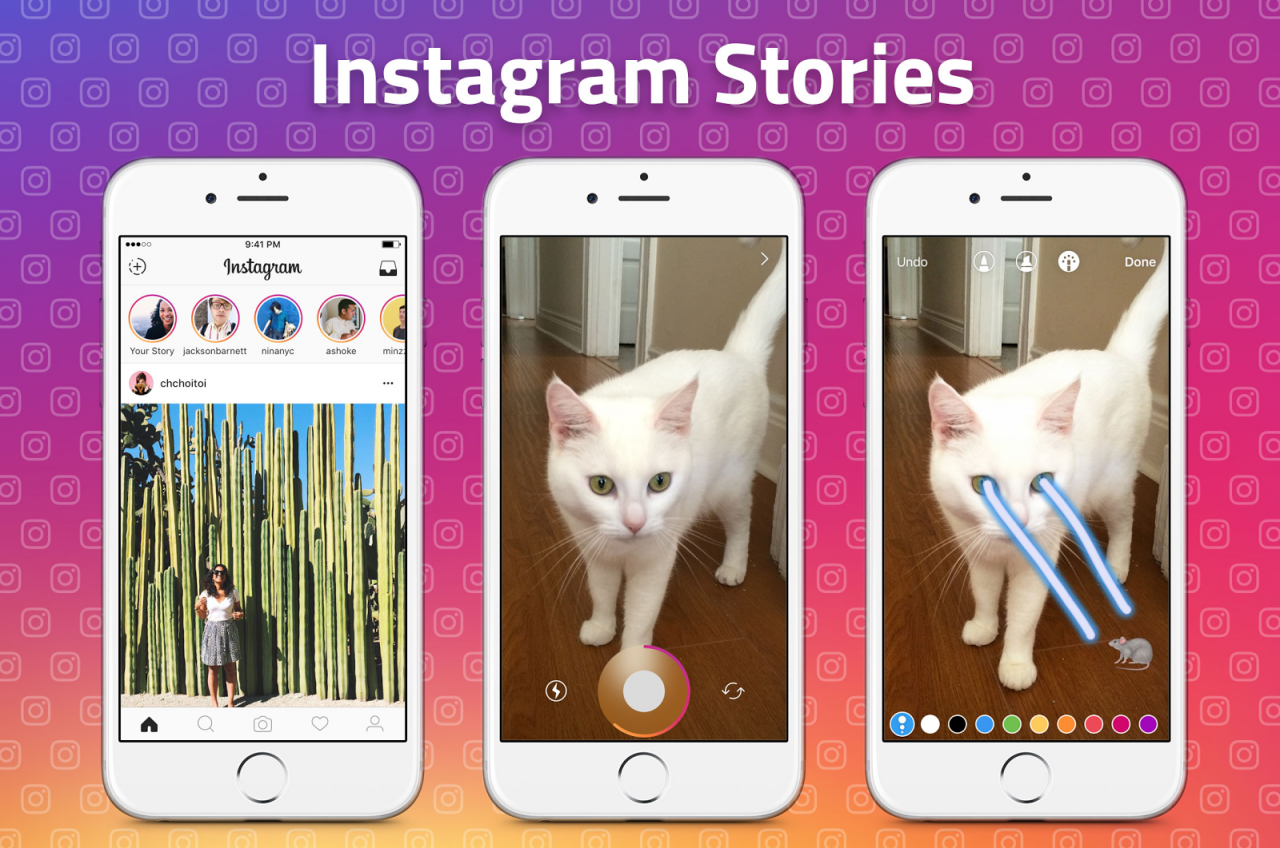 Shoppable Instagram stories