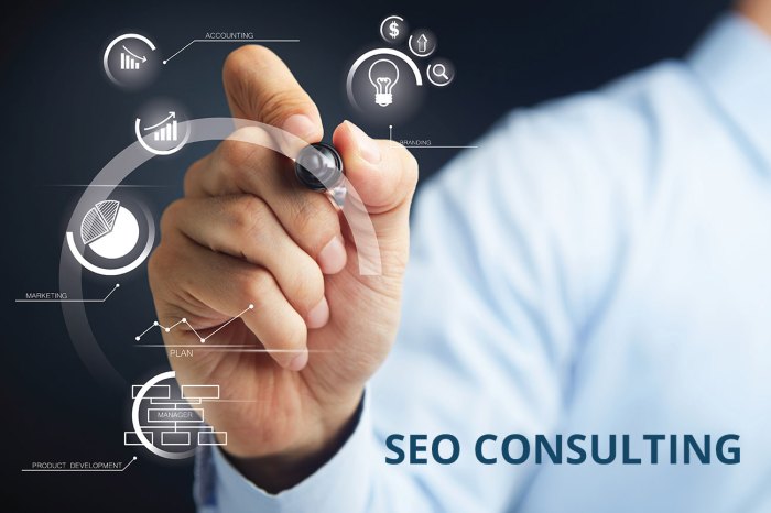 SEO Consultancy