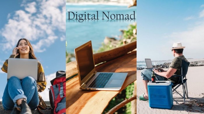 Digital Nomad Support Services