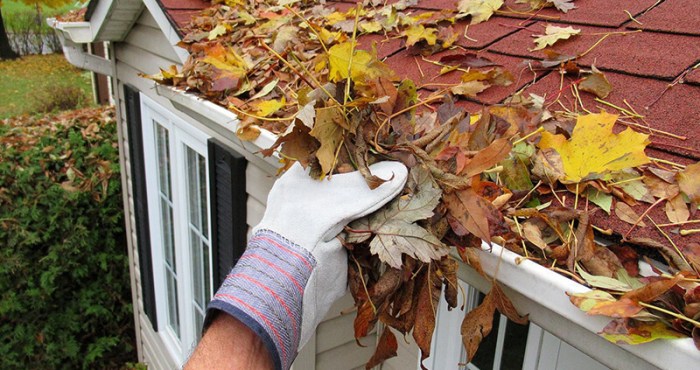 Cleaning tips for house exterior