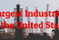 Top industries in the USA