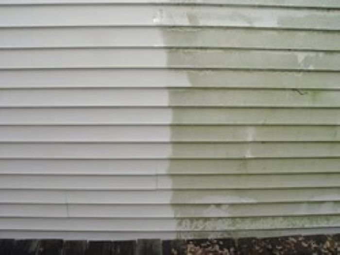 Siding mold removal