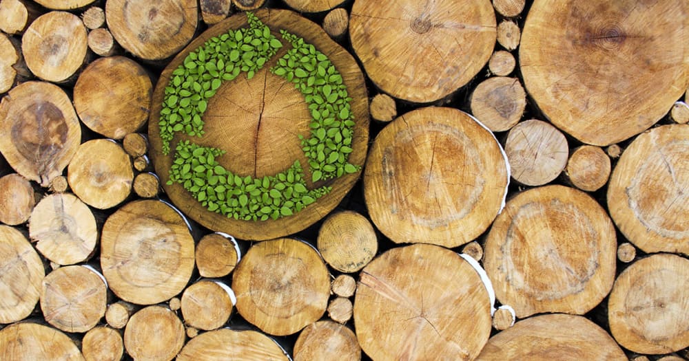 Finding sustainable and ethically sourced luxury wood