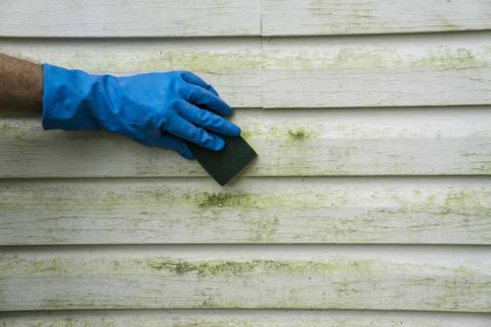 Dealing with mold and mildew on vinyl siding