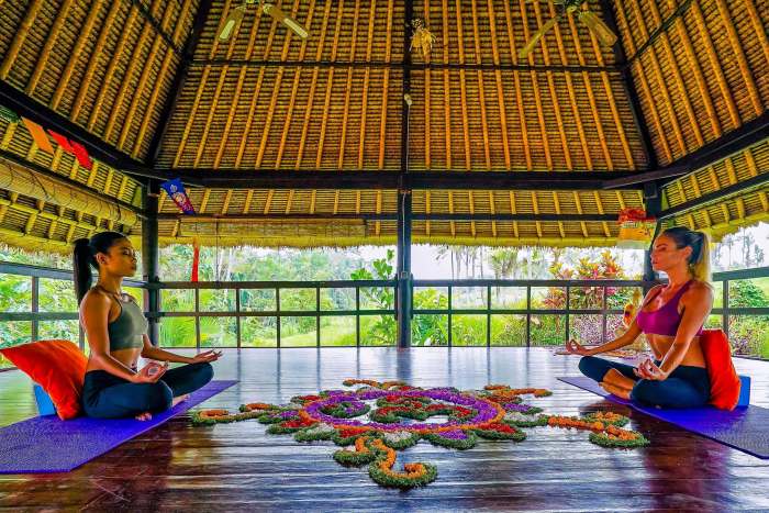 Search luxury villa hotels offering yoga retreats and spa treatments